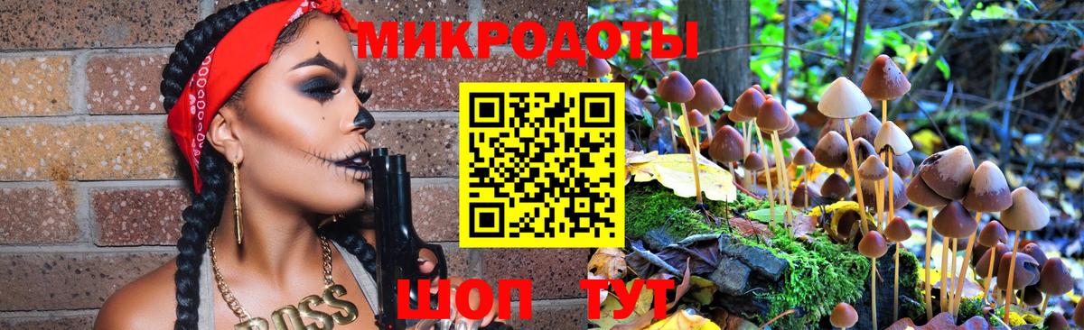 как найти наркотики  Вход с VPN  Северобайкальск  Псилоцибиновые грибы Magic Shrooms 